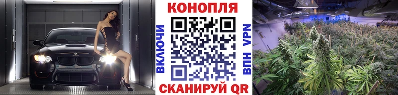 Виды наркоты Жуковский КОКАИН Каннабис Alpha-PVP ГАШИШ МЕГА зеркало Мефедрон