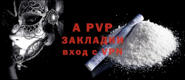 прущие грибы Тында