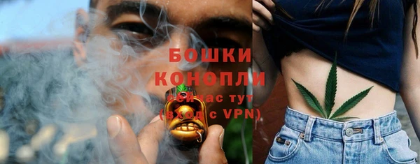 шишки Туринск