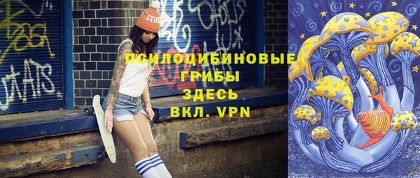 стафф Карпинск