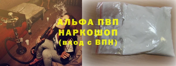 стафф Карпинск