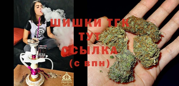 стафф Карпинск