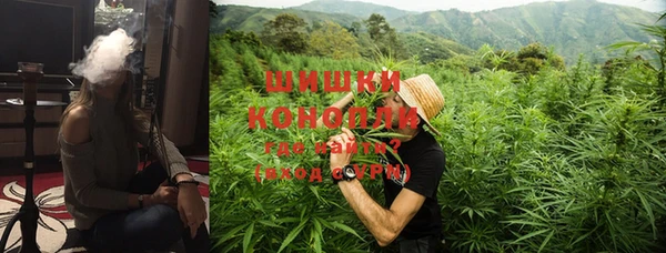 стафф Карпинск