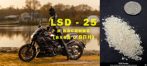 стафф Карпинск