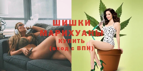 стафф Карпинск