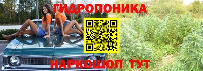spice Дубна