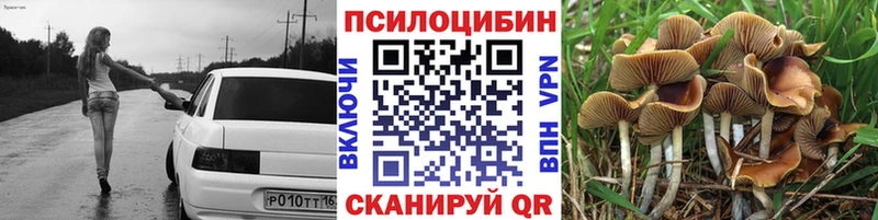 наркошоп  Жуковский  omg ссылка  Псилоцибиновые грибы Psilocybine cubensis 