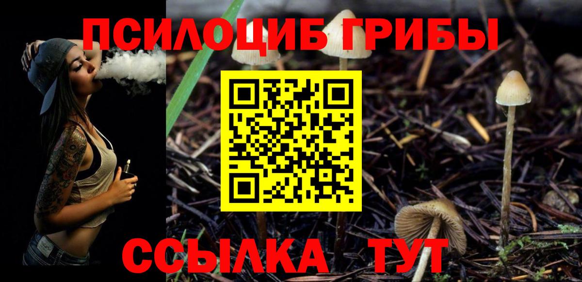 Галлюциногенные грибы мицелий Жуковский