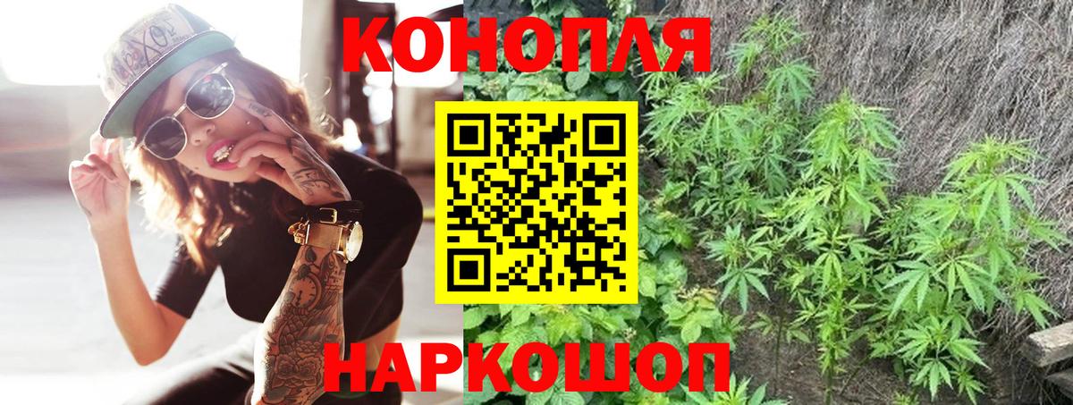 Бошки Шишки сатива Жуковский